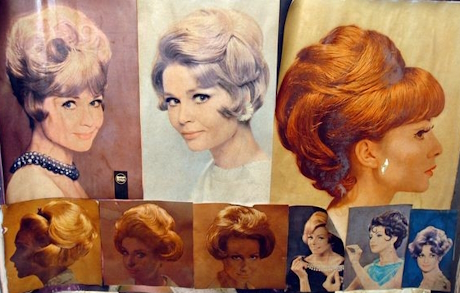 colour photo of a selection of womens hair styles