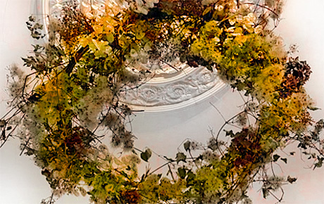 Photo of circle of foliage suspended from a decorative ceiling