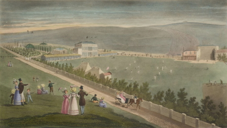 Image showing a coloured engraving of James Irelands pleasure gardens