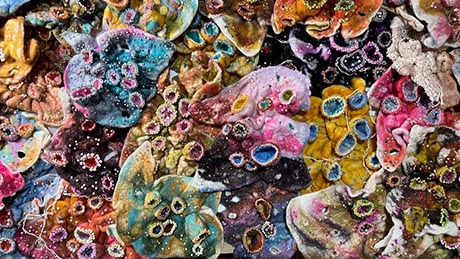 Photo of embroidered textile representation of a microbiome, in multi-coloured materials and varied shapes. 