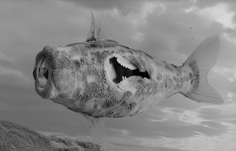 Black and white photo of a distorted, pufferfish-like creature with prominent teeth and a hollowed-out, skeletal midsection